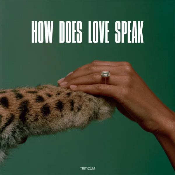 TRITICUM — How Does Love Speak